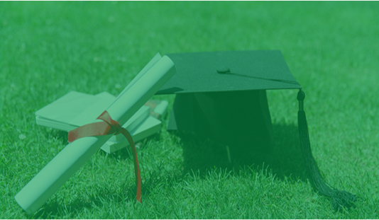 培訓(xùn)與發(fā)展